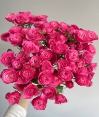 Spray Rose-Sofia Baby