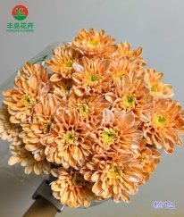 Dyed Spray Chrysanthemums Altay-Orange
