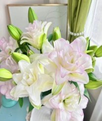 Rose Lily Ice Queen Three Heads