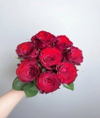 Rose-Red Rugosamore