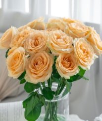 Rose-Champagne