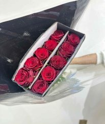 Rose-Red Rugosamore