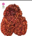 Preserved Hydrangeas Orange-red