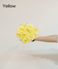 Sim Carnation Yellow