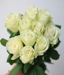 Rose-White