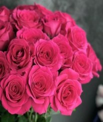 Rose-Floyd