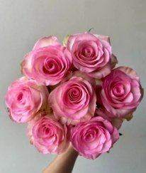 Rose-Aqua Spirit