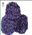 Preserved Hydrangeas Purple