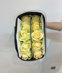 Rose-Peach Avalanche