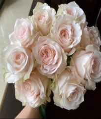 Rose-Pisces