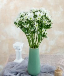 Spray Chrysanthemums Rui White