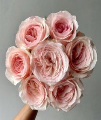 Rose-Nami