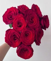 Rose-Red Naomi
