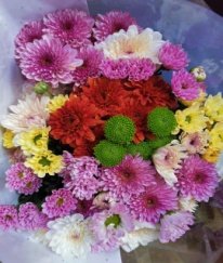 Spray Chrysanthemum  Mix