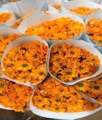Dyed Kennedy Spray Chrysanthemum（Orange）